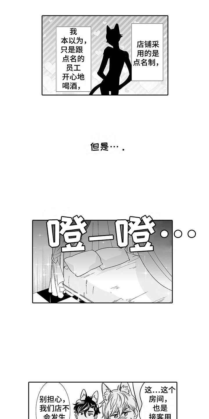 《我的小奶猫》第6章奶酪猫 第11页