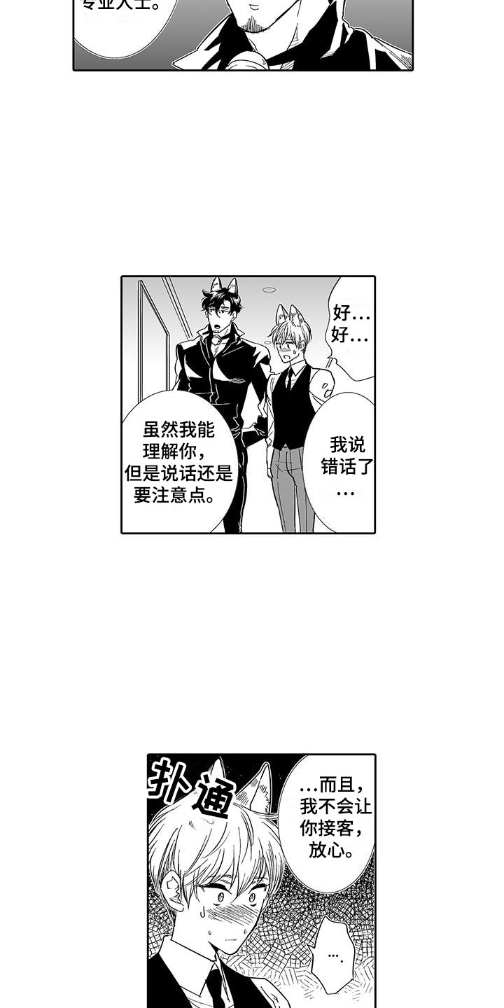 《我的小奶猫》第6章奶酪猫 第13页