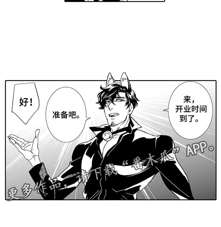 《我的小奶猫》第6章奶酪猫 第14页