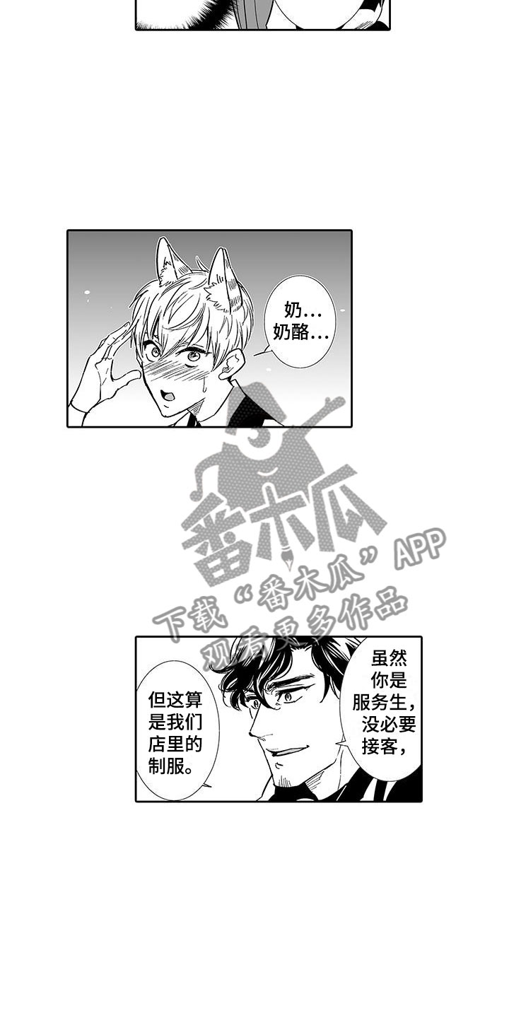 《我的小奶猫》第6章奶酪猫 第8页