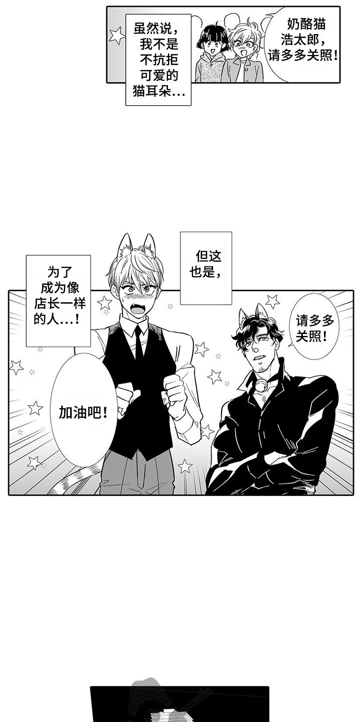 《我的小奶猫》第6章奶酪猫 第9页
