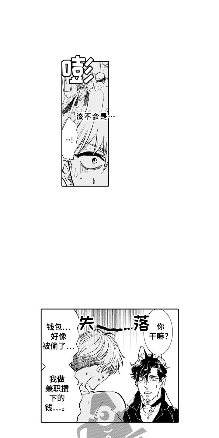 《我的小奶猫》第4章在这里工作吧 第12页