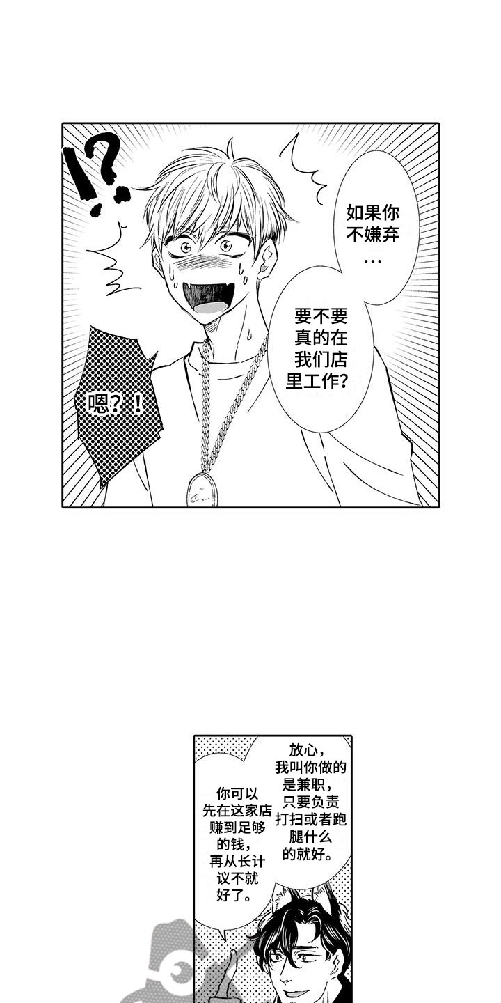 《我的小奶猫》第4章在这里工作吧 第15页