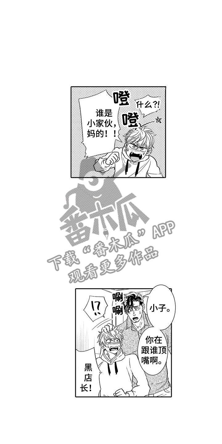 《我的小奶猫》第8章老板来了 第4页