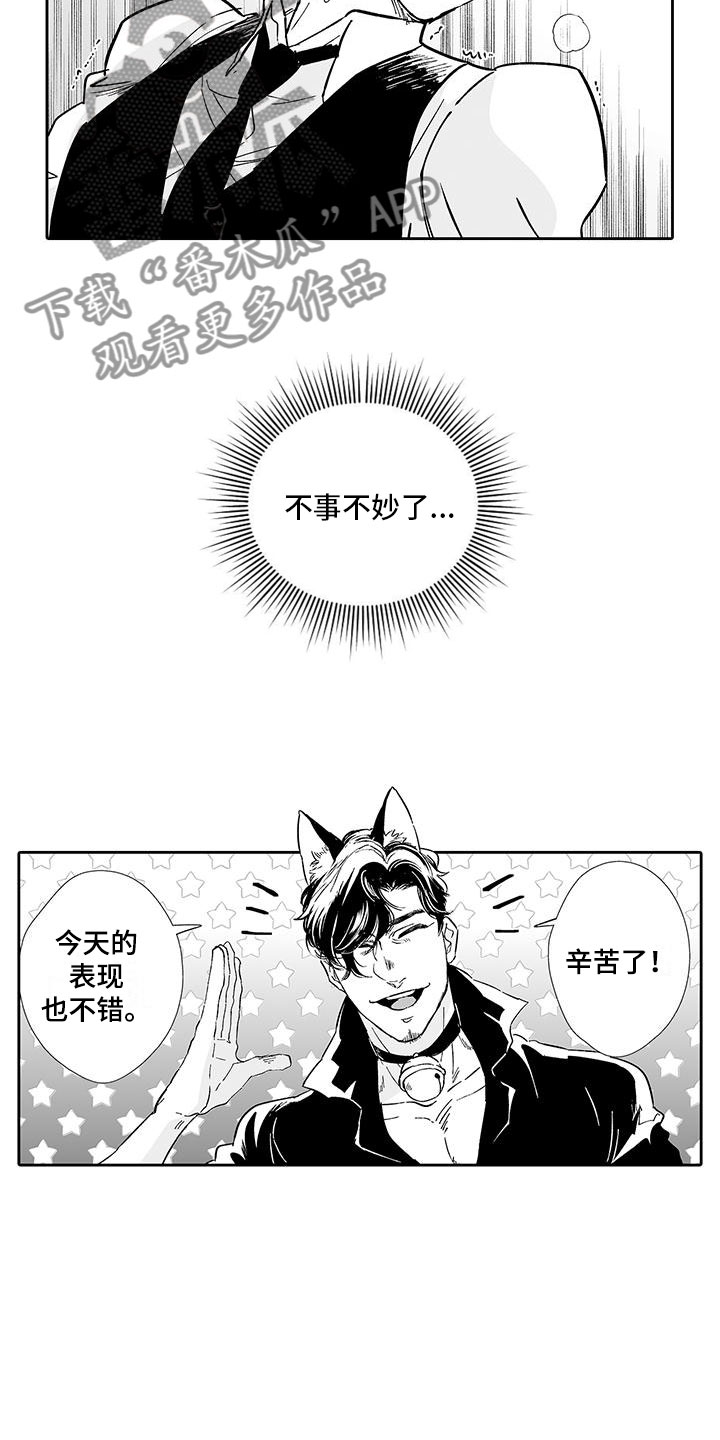 《我的小奶猫》第7章营业表演 第11页