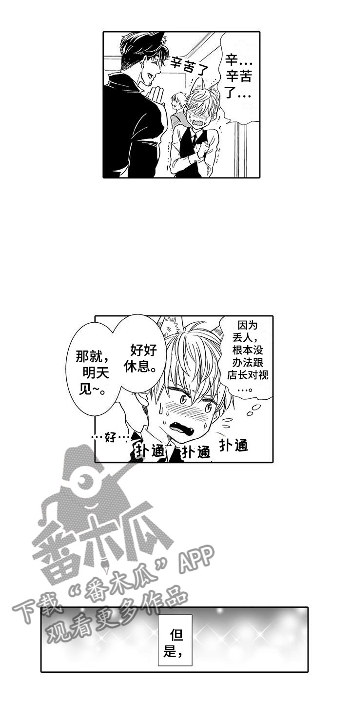 《我的小奶猫》第7章营业表演 第12页