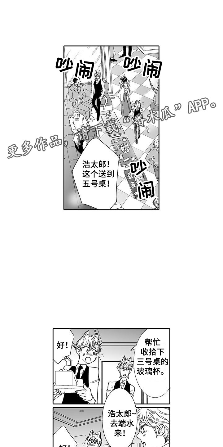 《我的小奶猫》第7章营业表演 第1页