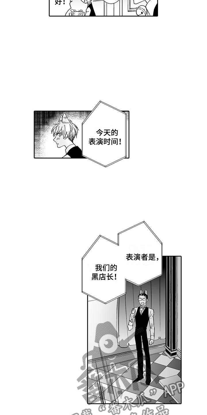 《我的小奶猫》第7章营业表演 第2页