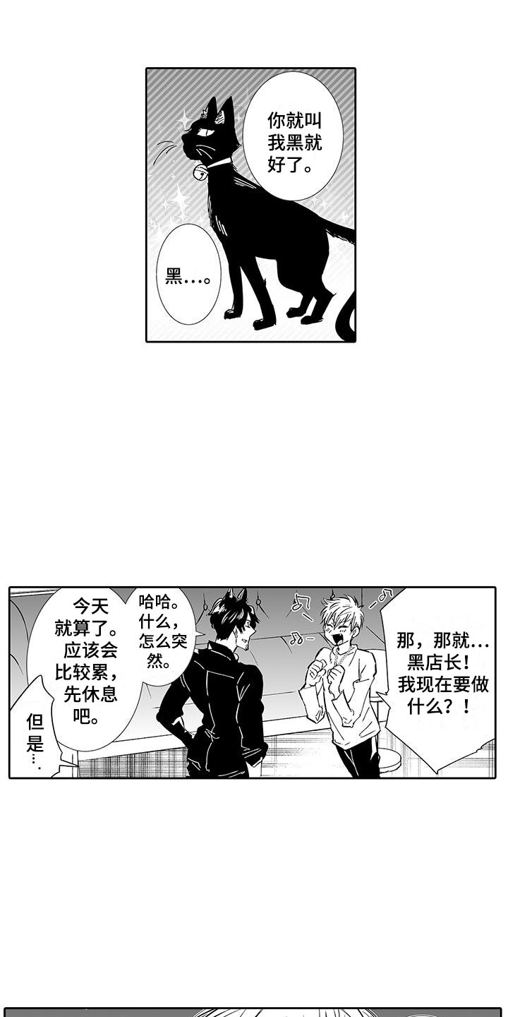 《我的小奶猫》第5章一起逛街吧 第1页