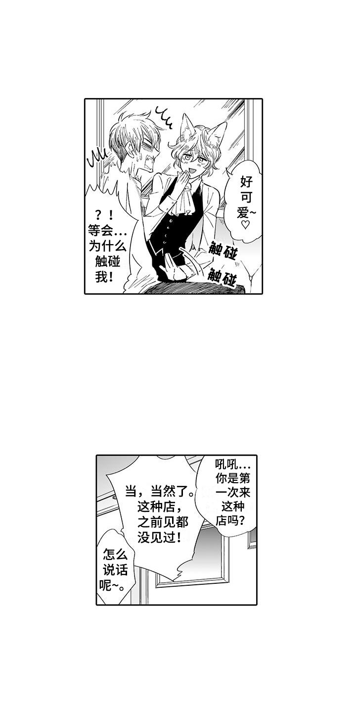 《我的小奶猫》第2章猫咪咖啡屋 第10页