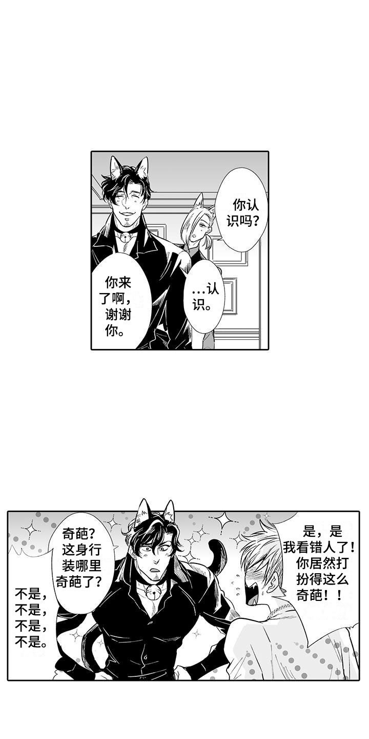 《我的小奶猫》第2章猫咪咖啡屋 第13页