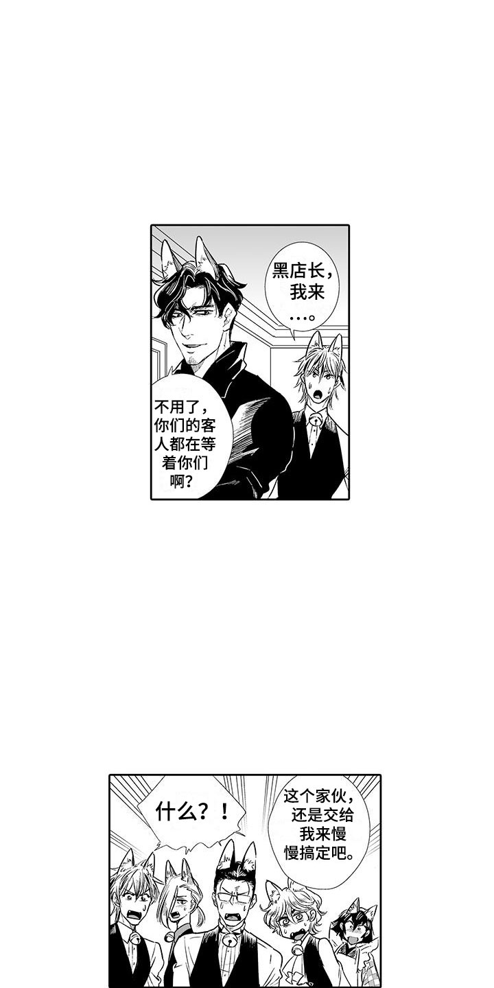 《我的小奶猫》第2章猫咪咖啡屋 第15页