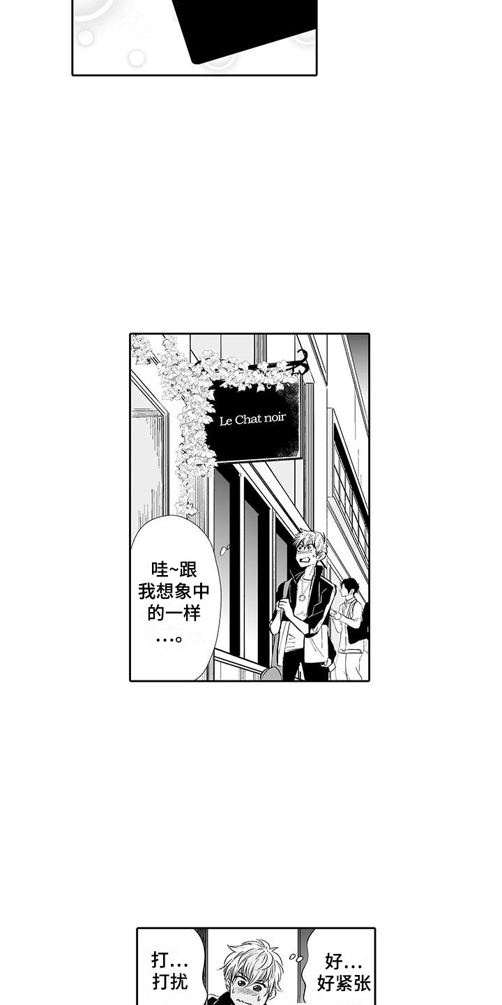 《我的小奶猫》第2章猫咪咖啡屋 第6页