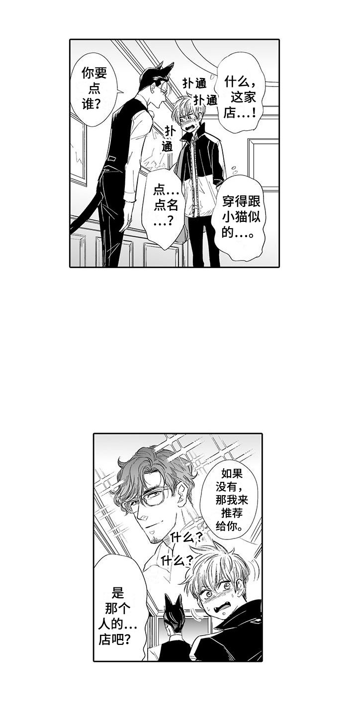 《我的小奶猫》第2章猫咪咖啡屋 第8页