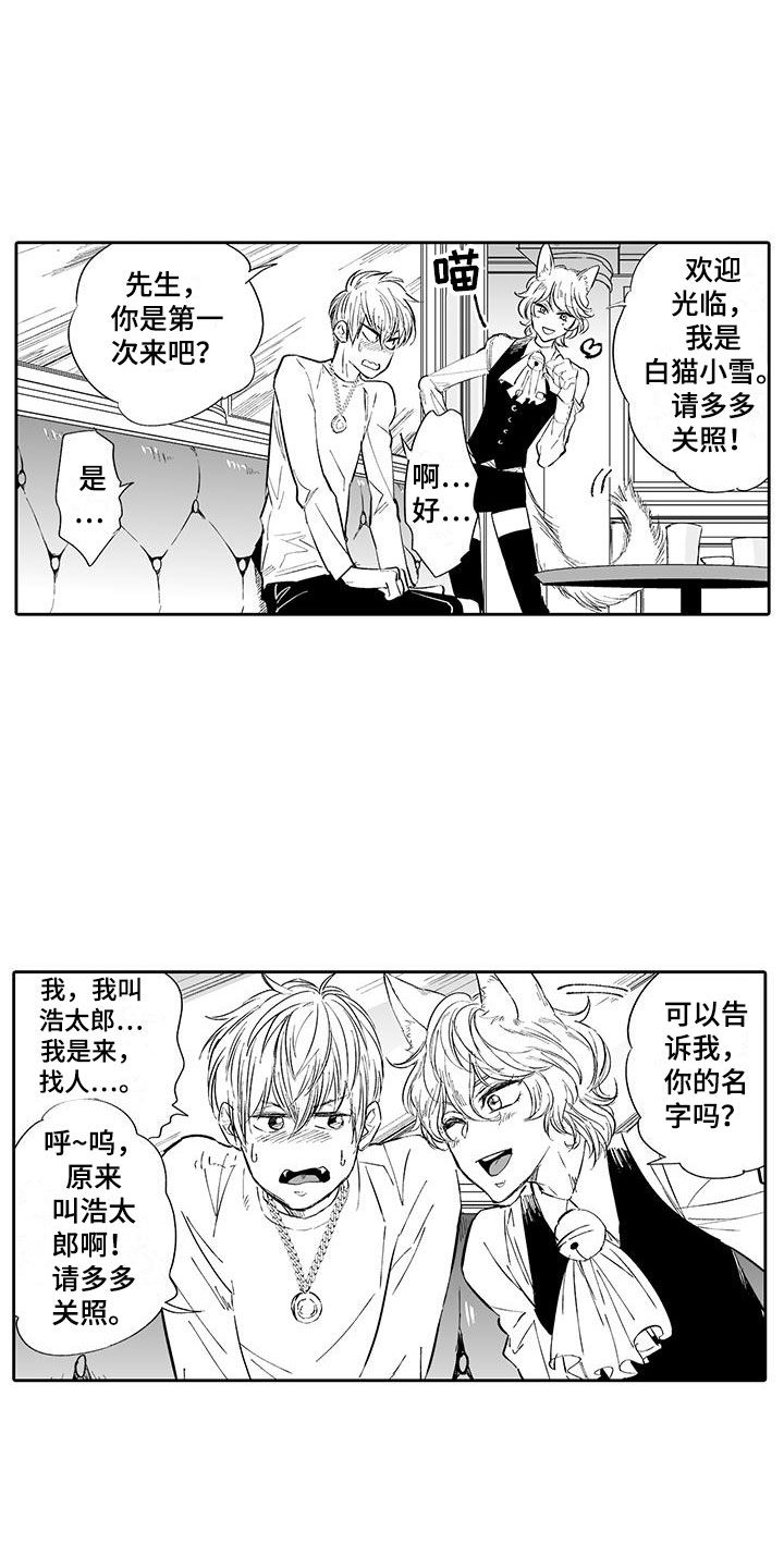 《我的小奶猫》第2章猫咪咖啡屋 第9页