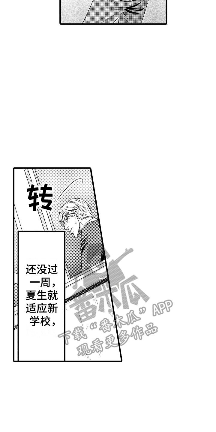 《他的光芒》第23章适应 第2页