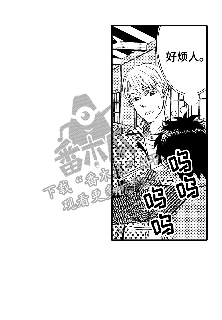 《他的光芒》第21章突如其来 第20页