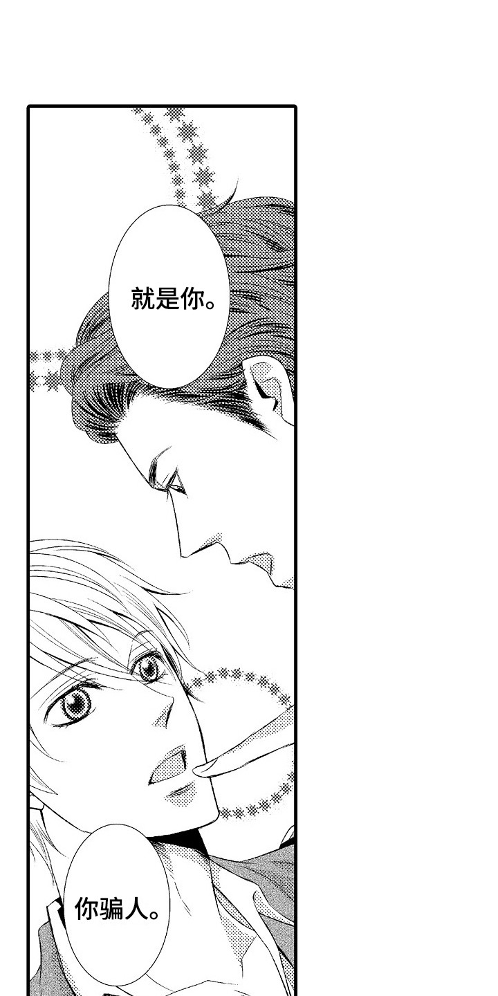 《他的光芒》第19章真心的 第16页