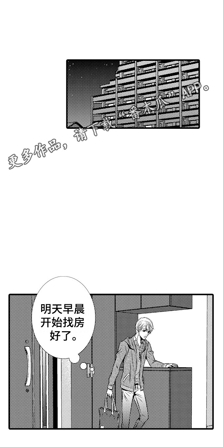 《他的光芒》第19章真心的 第5页
