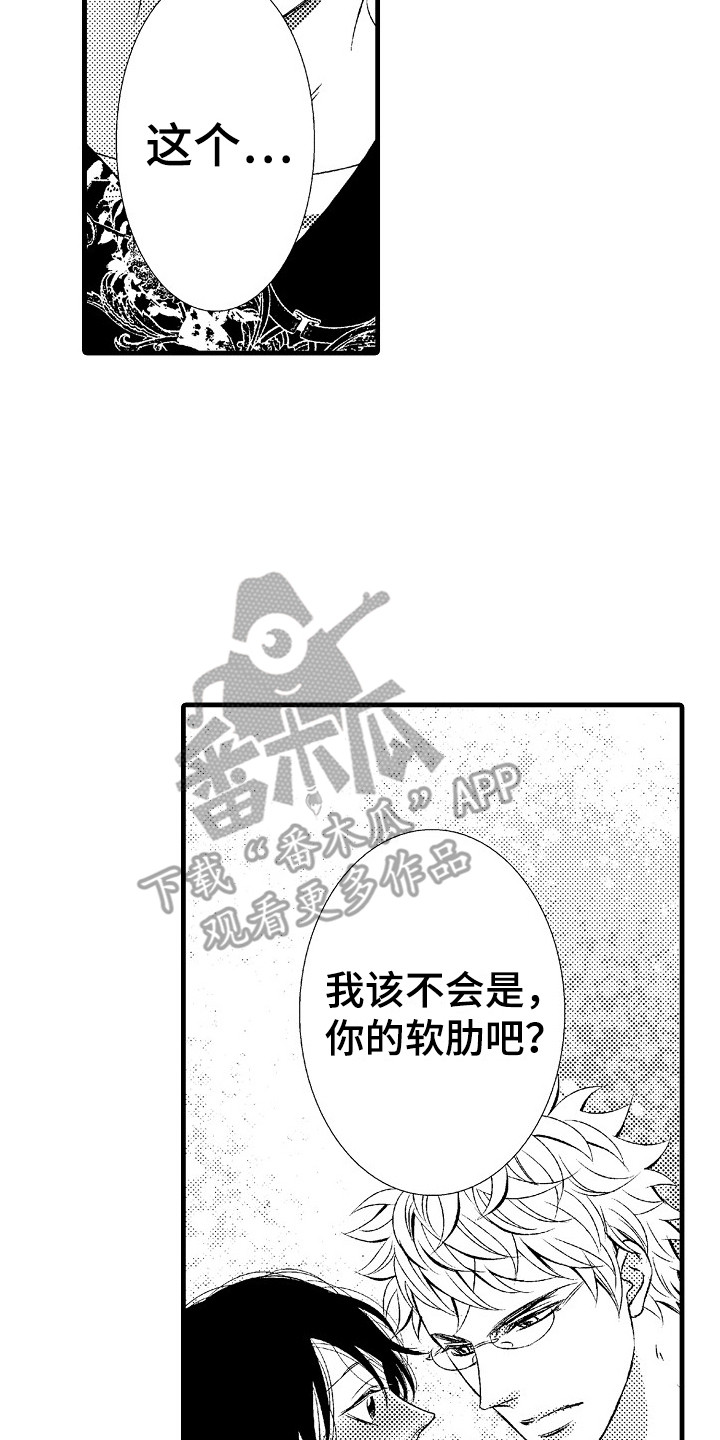 《他的光芒》第15章软肋 第23页
