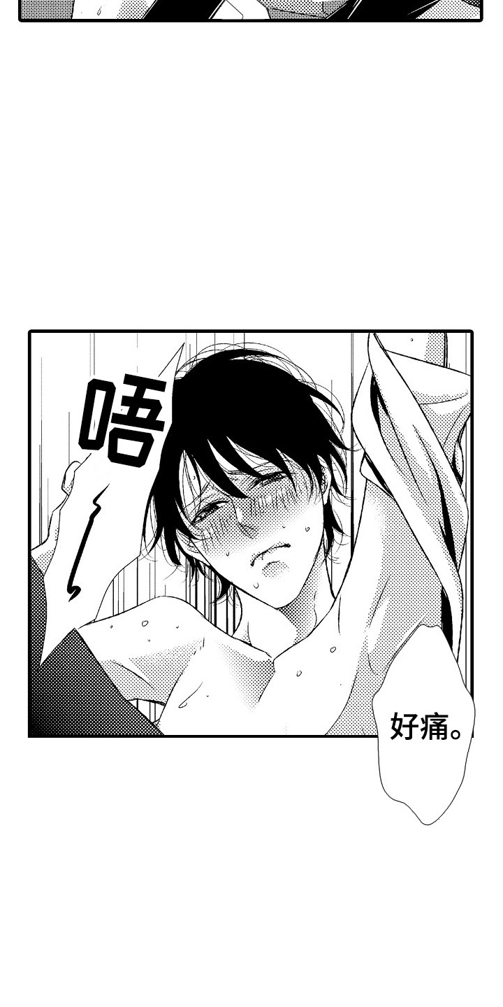 《他的光芒》第16章并不赖 第12页