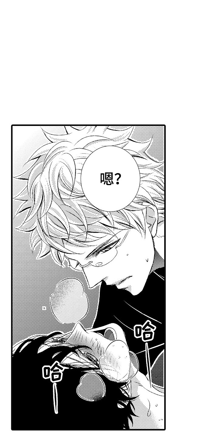 《他的光芒》第16章并不赖 第15页
