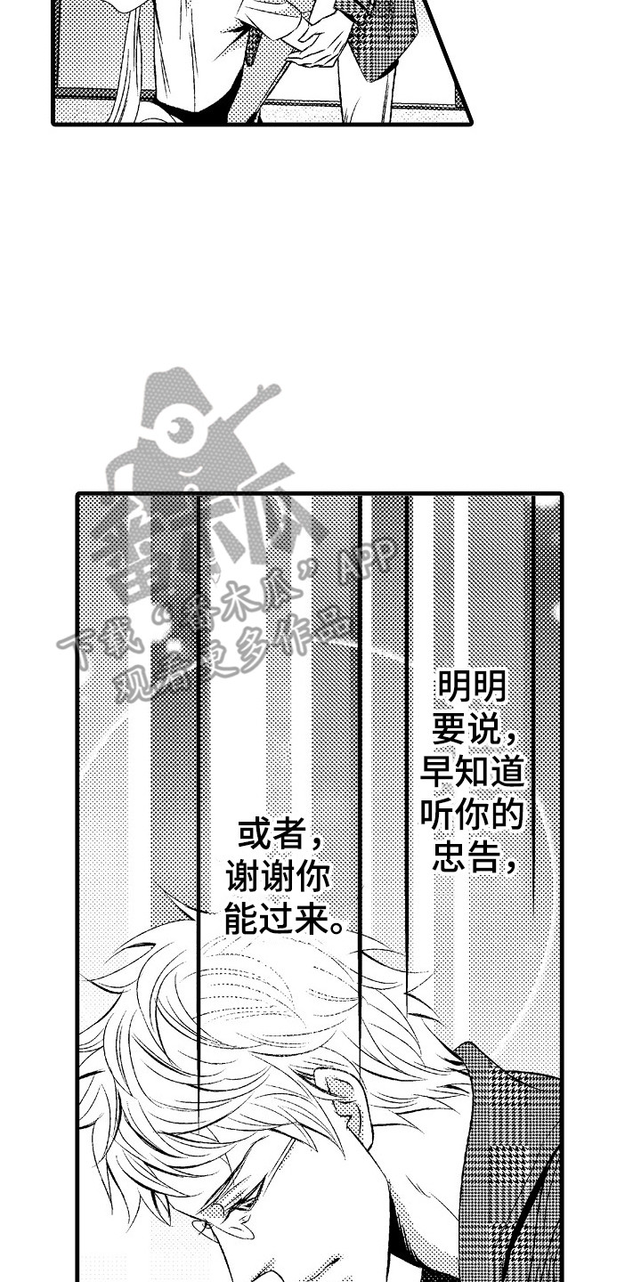 《他的光芒》第14章及时赶到 第17页