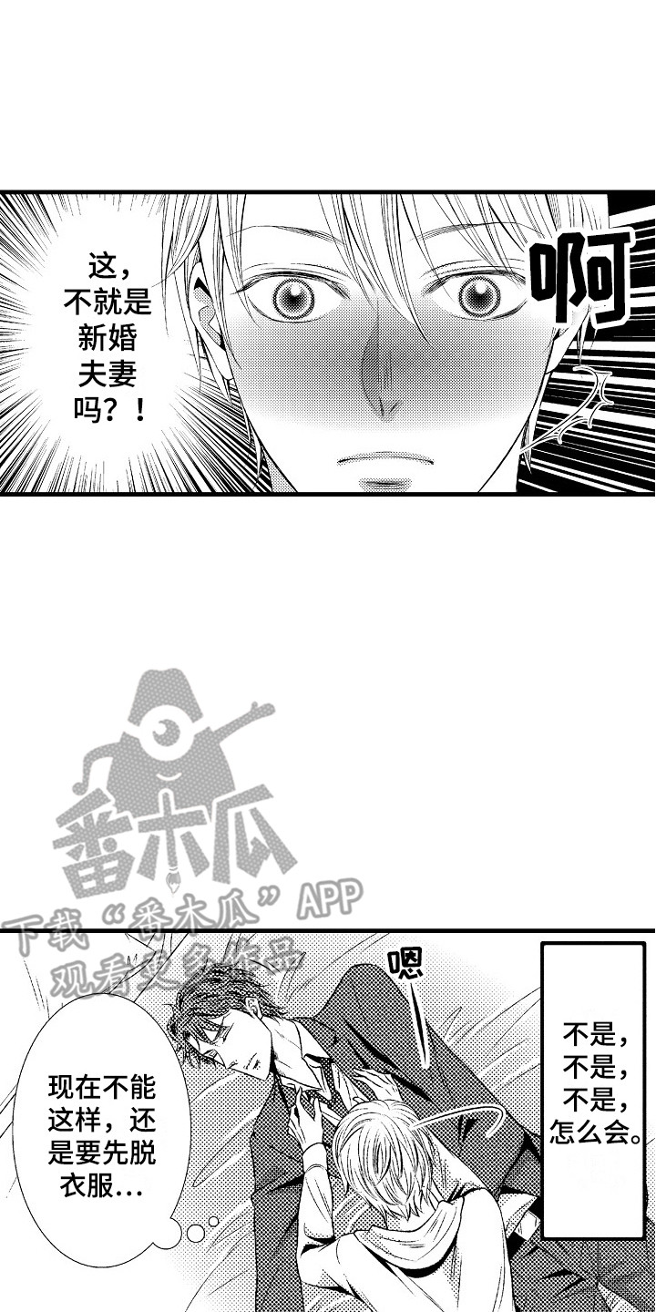 《他的光芒》第17章胡思乱想 第14页