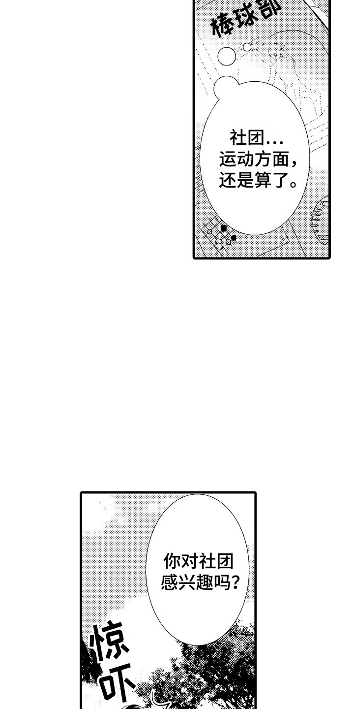 《他的光芒》第12章充实的生活 第19页