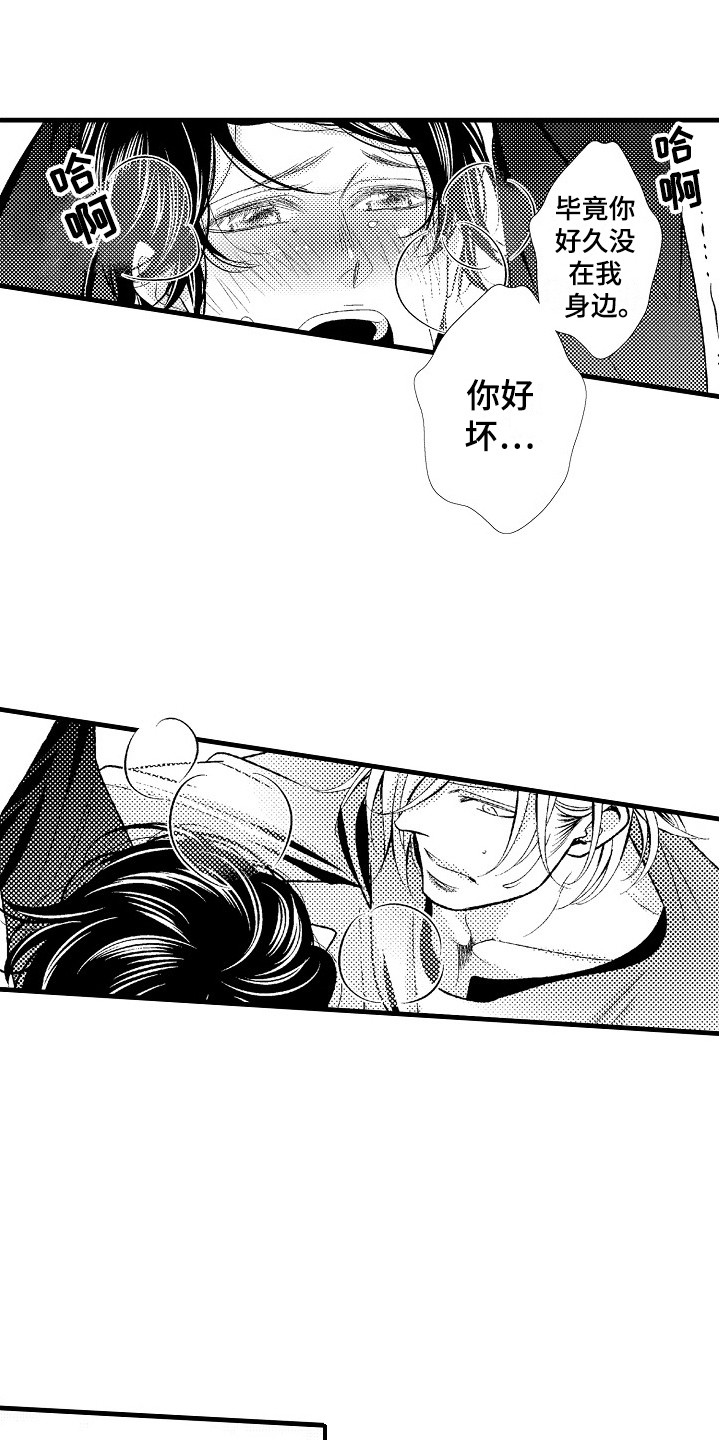 《他的光芒》第11章不用客气 第13页