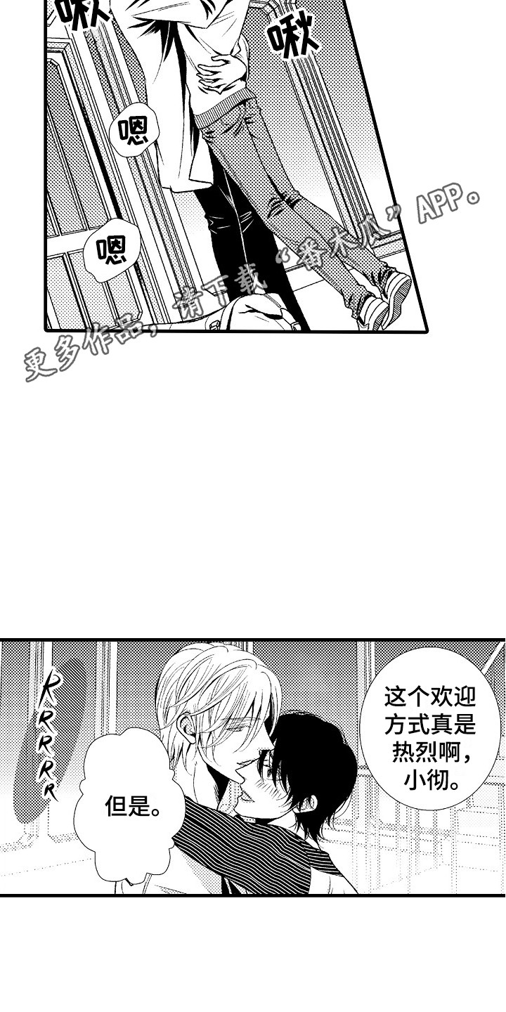 《他的光芒》第9章善解人意 第11页