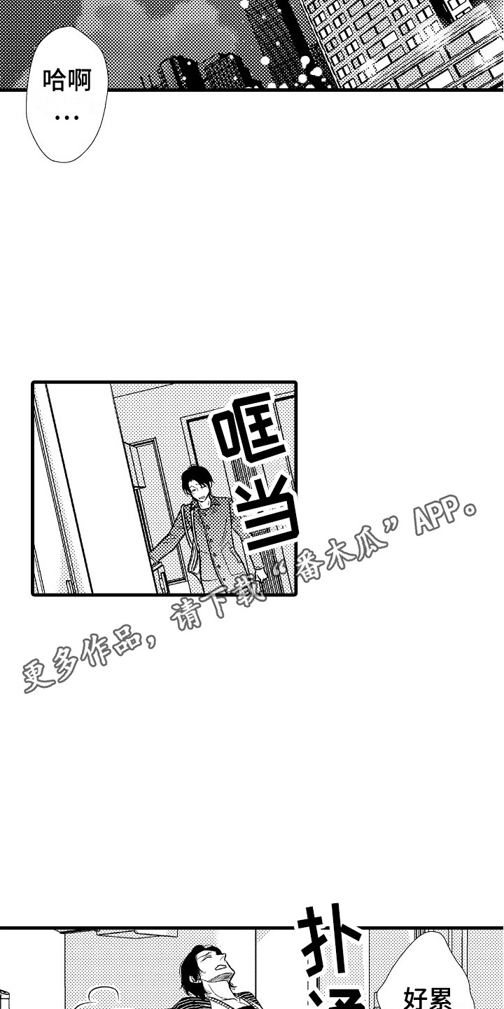 《他的光芒》第8章孤独 第11页