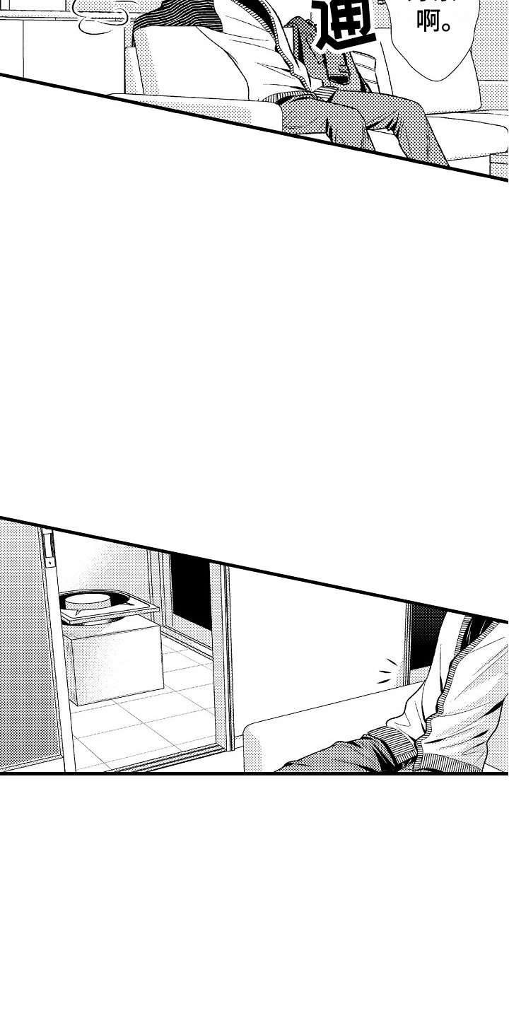 《他的光芒》第8章孤独 第12页
