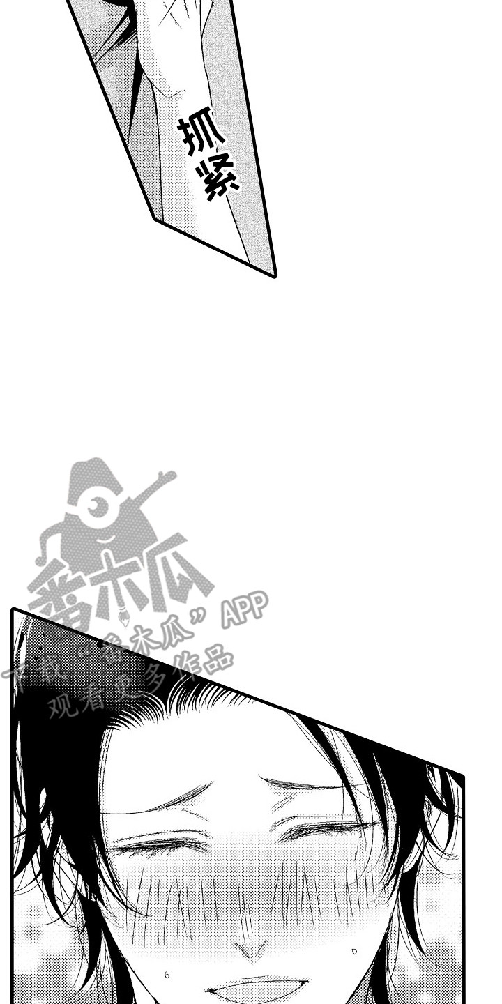 《他的光芒》第6章回归正轨 第2页