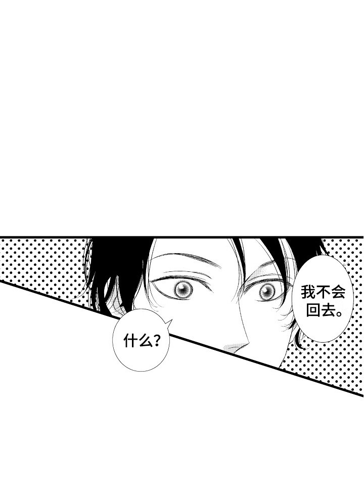 《他的光芒》第1章发配乡村 第17页
