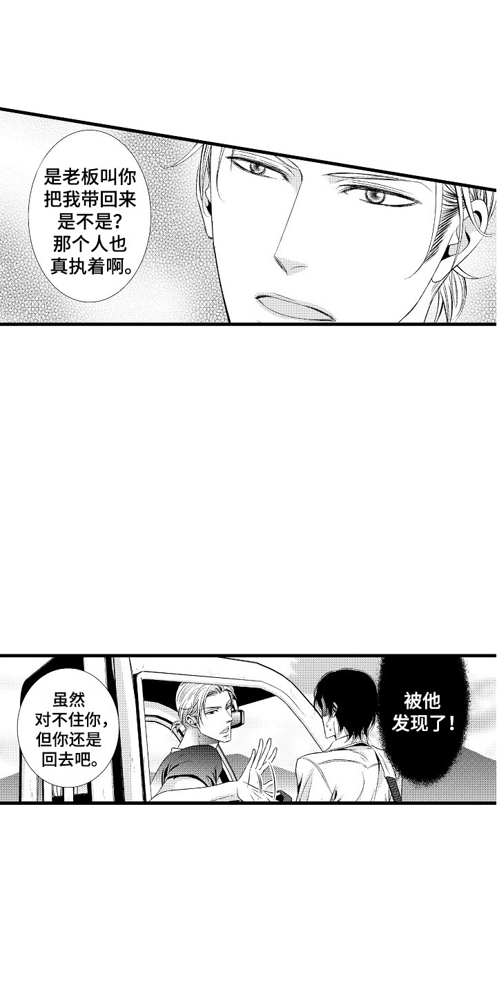 《他的光芒》第1章发配乡村 第18页