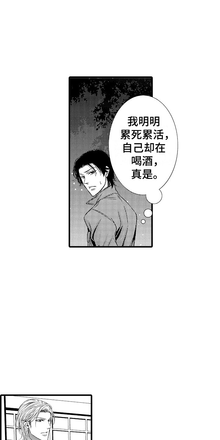 《他的光芒》第2章很自在 第17页