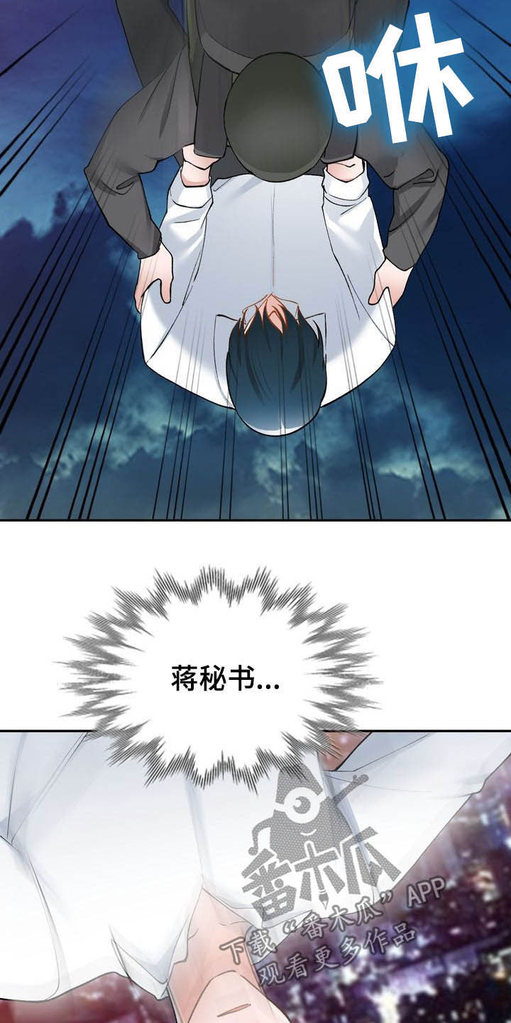 《非凡的小秘书》第66章跳伞 第15页