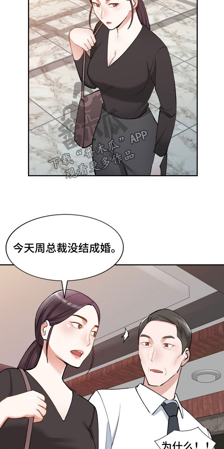 《非凡的小秘书》第62章他是谁 第4页