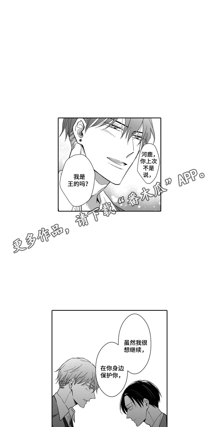 《圈养的小鹿斑比》第23章戒指 第11页