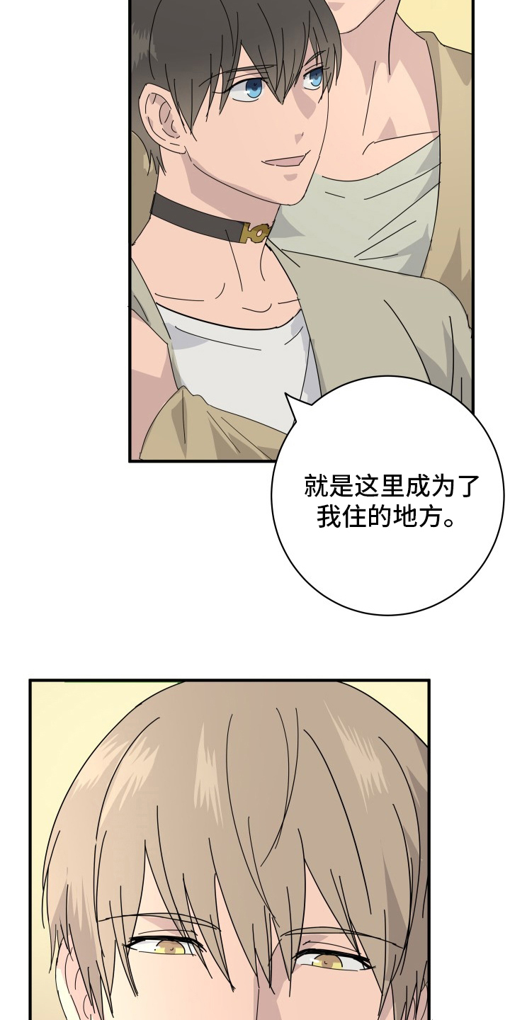 《阿尔法狂想》第58章【完结】幸福下去 第18页