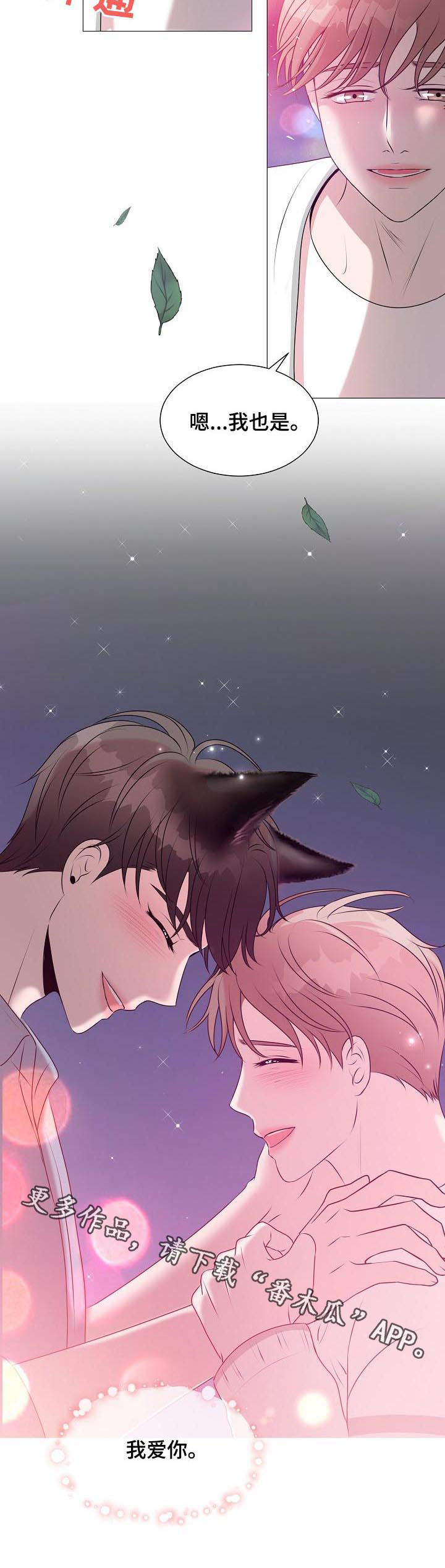 《猫猫初体验》第41章爱情 第11页