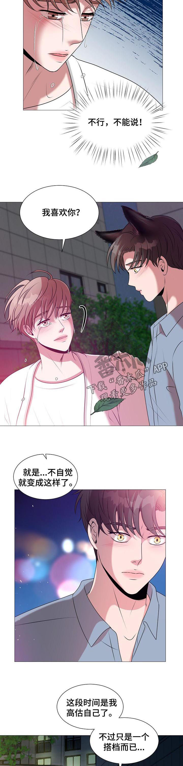 《猫猫初体验》第41章爱情 第2页