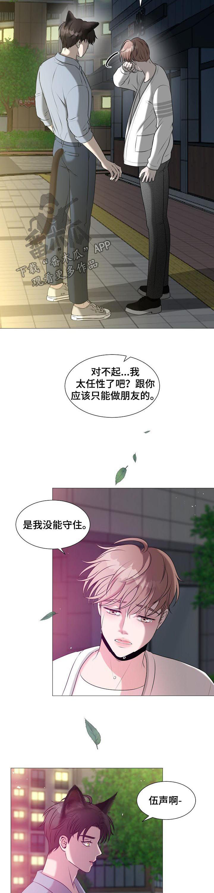 《猫猫初体验》第41章爱情 第3页