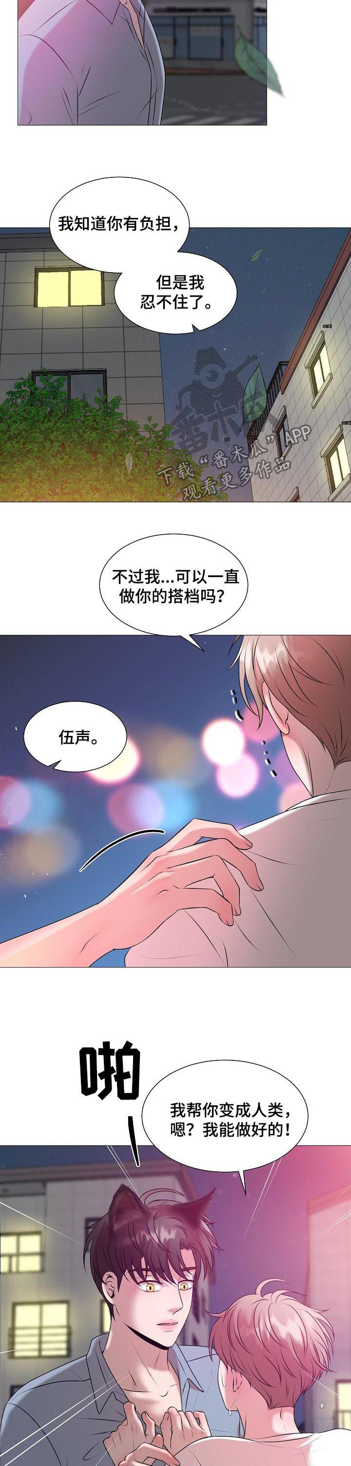 《猫猫初体验》第41章爱情 第4页
