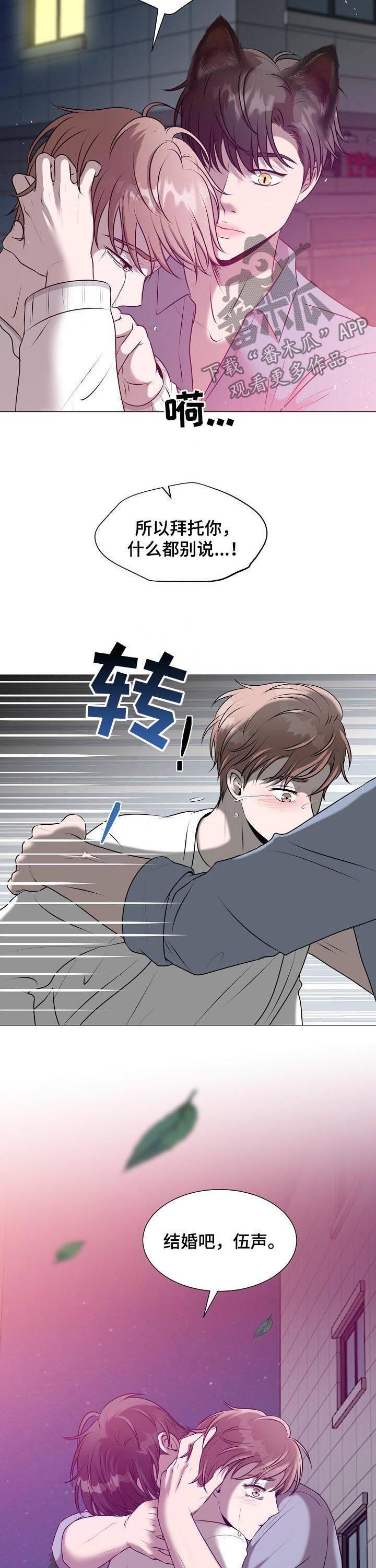 《猫猫初体验》第41章爱情 第6页