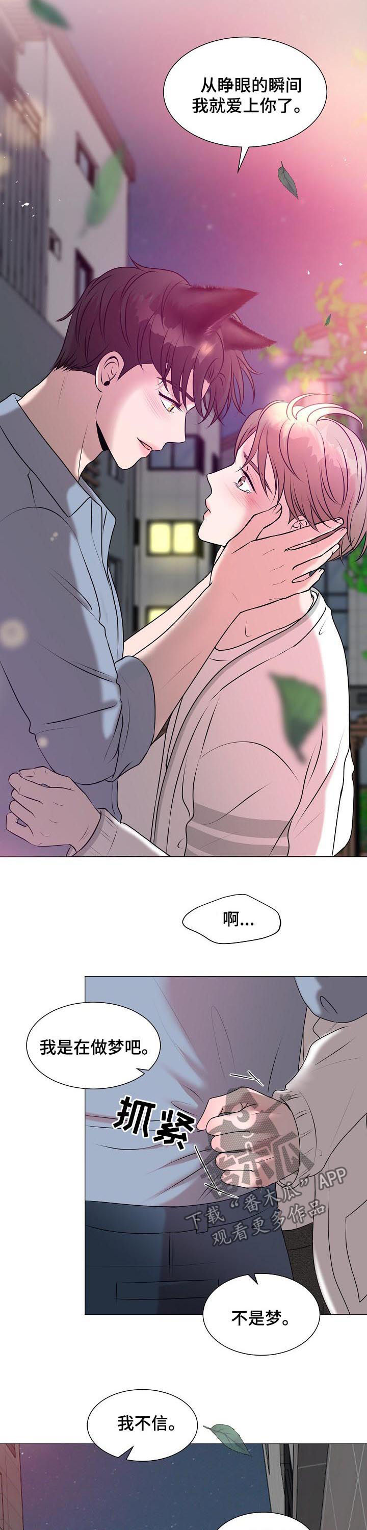 《猫猫初体验》第41章爱情 第9页
