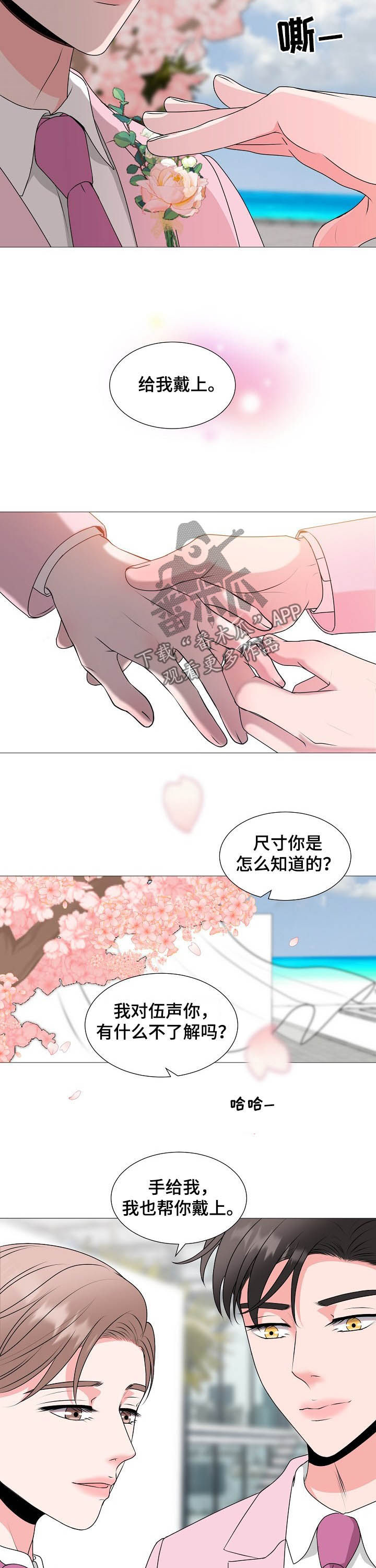 《猫猫初体验》第45章最后的爱情（完结） 第11页