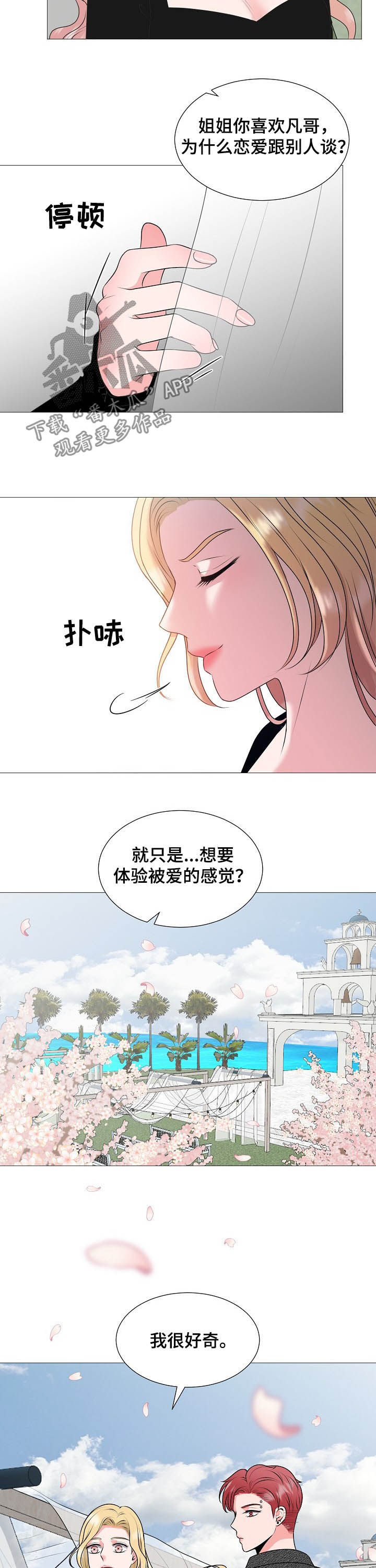 《猫猫初体验》第44章婚礼 第14页