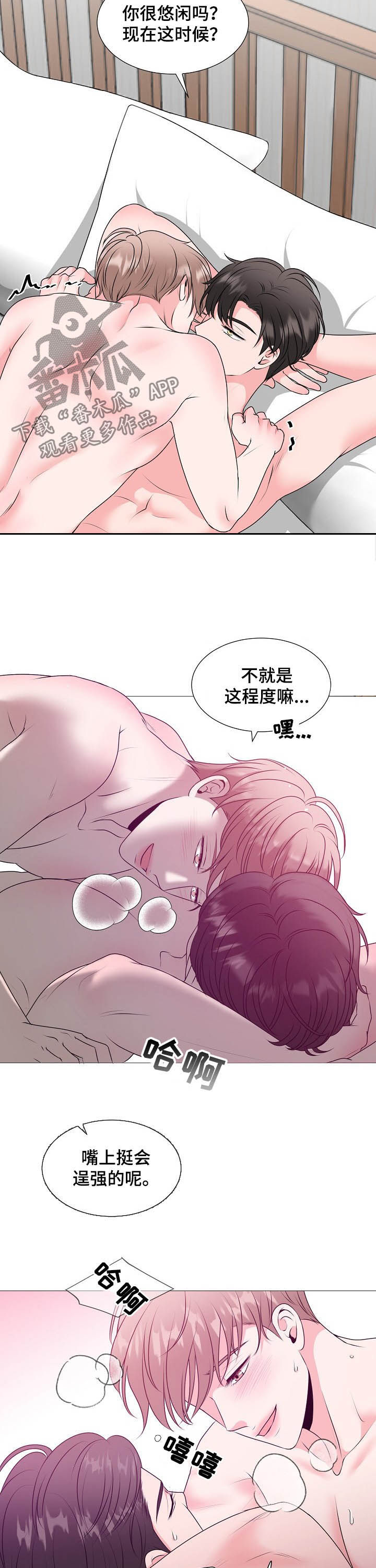 《猫猫初体验》第44章婚礼 第2页